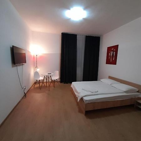 Piata Unirii- 1 Room Studio Apartment Timisoara Exterior photo